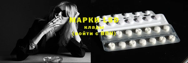 мдпв Богородицк