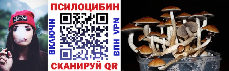Псилоцибиновые грибы Magic Shrooms  наркотики  Кемь 